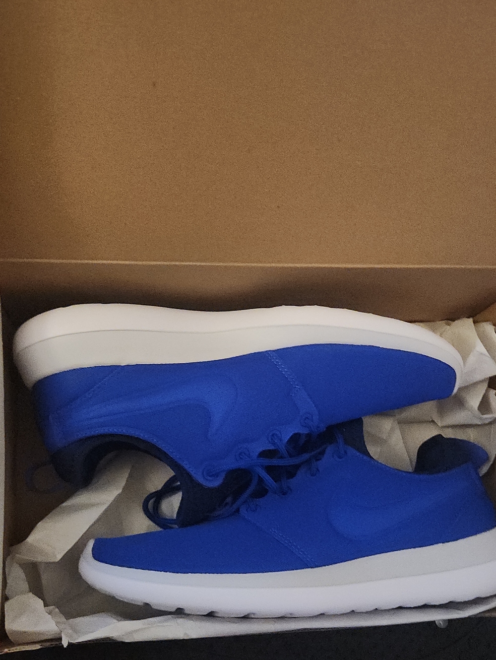 Nike Roshe Two Sneakers